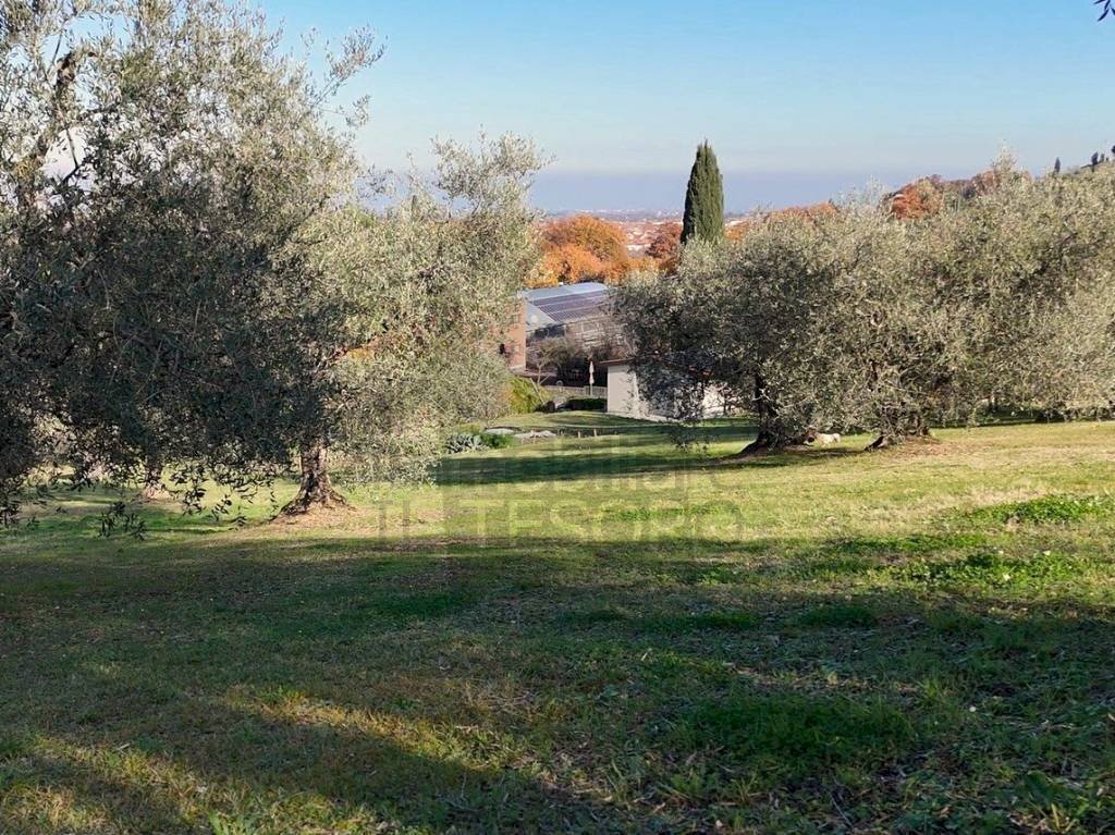 Terreno - Terreno agricolo via Brocchi, 73, Verucchio - foto 2