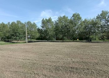 Terreno - Villa San Giovanni in Persiceto - foto 7