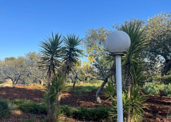 Foto 7 - Villa Strada Comunale Torre Due Pani
 
1, Castellana Grotte - foto 7