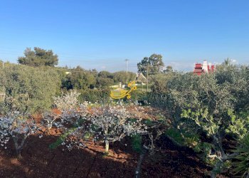 Foto 20 - Villa Strada Comunale Torre Due Pani
 
1, Castellana Grotte - foto 20