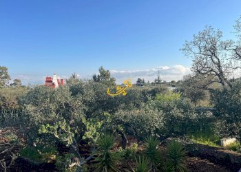 Foto 21 - Villa Strada Comunale Torre Due Pani
 
1, Castellana Grotte - foto 21