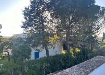 Foto 22 - Villa Strada Comunale Torre Due Pani
 
1, Castellana Grotte - foto 22