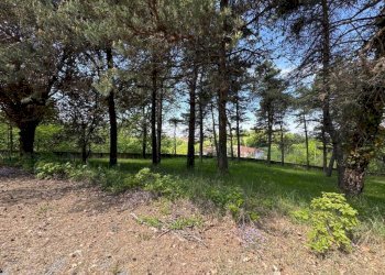 Giardino - Villa via Provinciale, Cerretto Langhe - foto 49