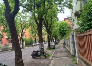 Zona - Non-buildable land via Leandro Alberti, Bologna (neighborhood Murri) - photo 5