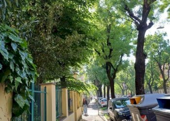 Zona - Non-buildable land via Leandro Alberti, Bologna (neighborhood Murri) - photo 6