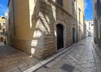 Zona - Stable - Palace piazza Camillo Benso di Cavour, 7, Bitonto - photo 11
