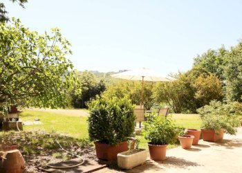Giardino - Casa indipendente via Cavaioni, Bologna (zona Colli) - foto 1