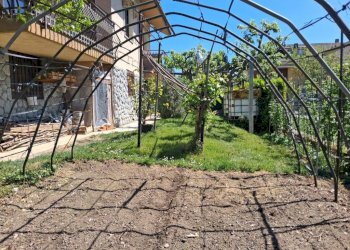 Giardino - Villa via Perosa, 23, Borgo San Dalmazzo - photo 46
