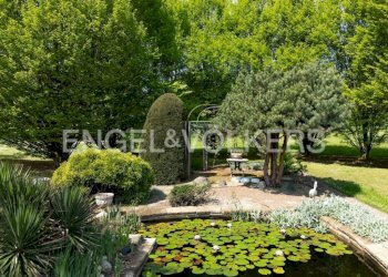 Giardino - Rustico via Asti, San Sebastiano da Po - foto 9