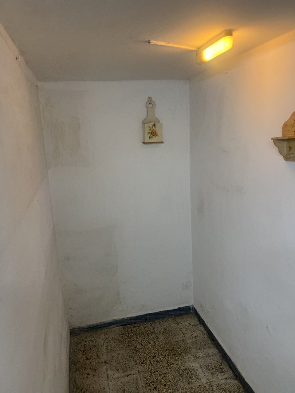 IMG_0633.JPG - Townhouse Agliana - photo 3