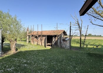 giardino - Rustic Via Volpino 13 A, Budrio - photo 4