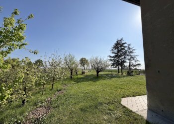 giardino - Rustic Via Volpino 13 A, Budrio - photo 5