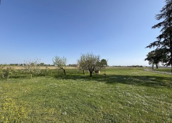 giardino - Rustic Via Volpino 13 A, Budrio - photo 6