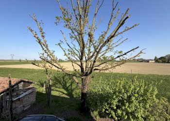 viste - Rustic Via Volpino 13 A, Budrio - photo 28