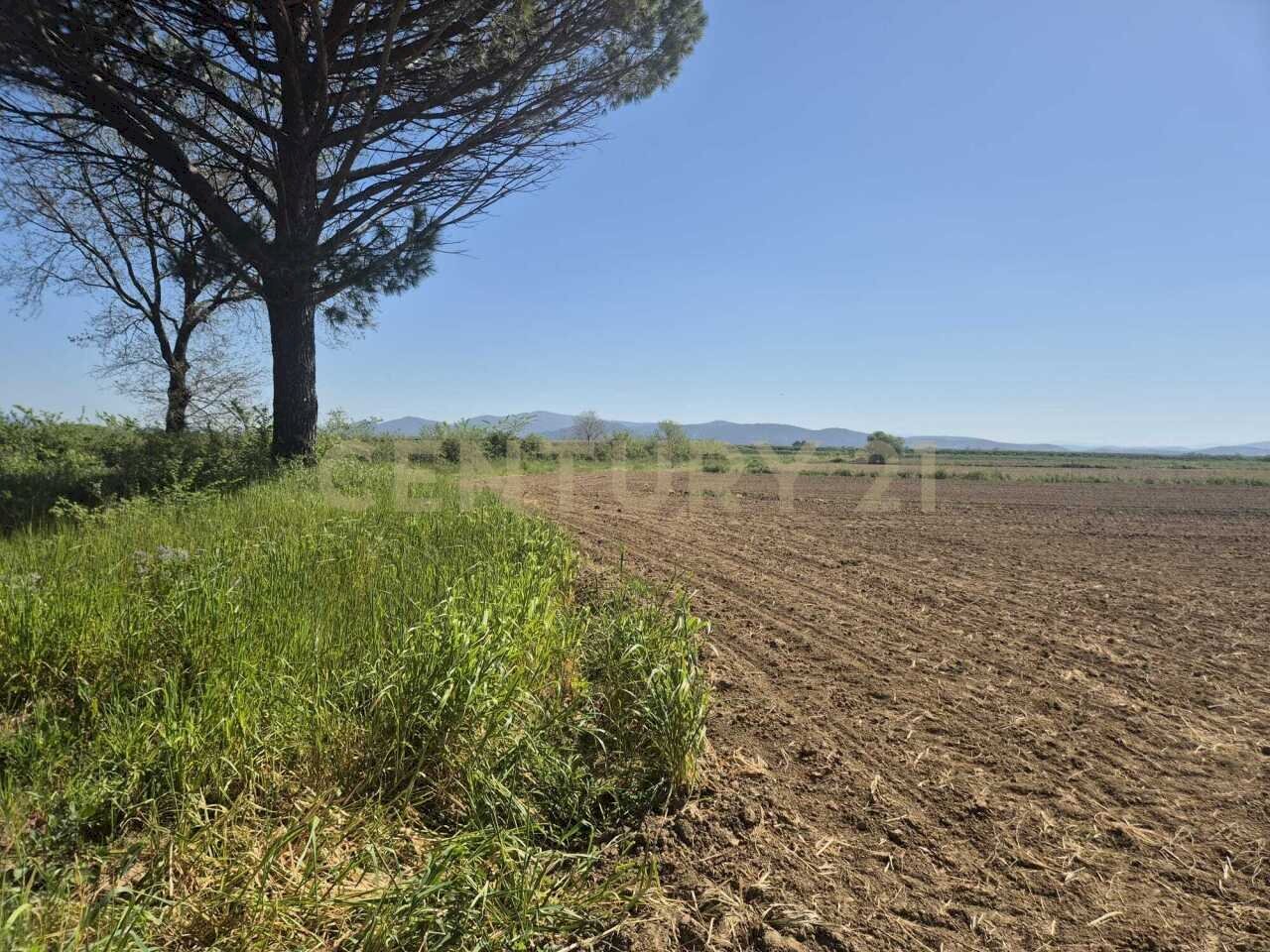 terreno 1.jpeg - Terreno agricolo loc. Badia Vecchia, Castiglione della Pescaia - foto 1