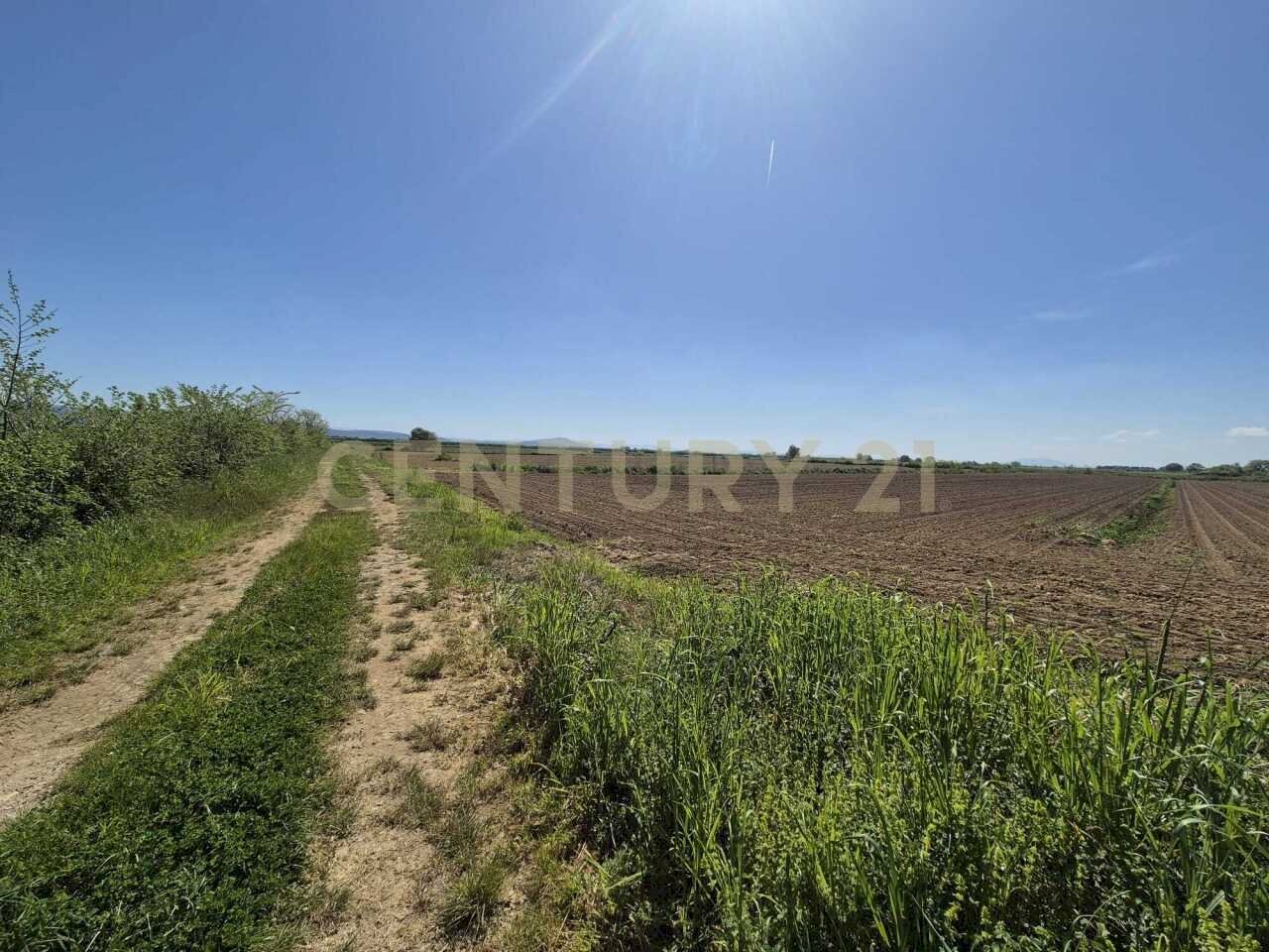 terreno 3.jpeg - Terreno agricolo loc. Badia Vecchia, Castiglione della Pescaia - foto 3
