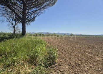 terreno 1.jpeg - Terreno agricolo loc. Badia Vecchia, Castiglione della Pescaia - foto 1