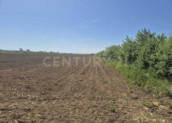 terreno 2.jpeg - Terreno agricolo loc. Badia Vecchia, Castiglione della Pescaia - foto 2
