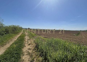 terreno 3.jpeg - Terreno agricolo loc. Badia Vecchia, Castiglione della Pescaia - foto 3