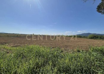 terreno 4.jpeg - Terreno agricolo loc. Badia Vecchia, Castiglione della Pescaia - foto 4