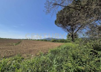 terreno 5.jpeg - Terreno agricolo loc. Badia Vecchia, Castiglione della Pescaia - foto 5