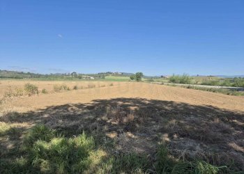 terreno 6.jpeg - Terreno agricolo loc. Badia Vecchia, Castiglione della Pescaia - foto 6