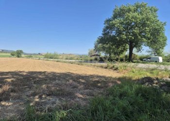 terreno 7.jpeg - Terreno agricolo loc. Badia Vecchia, Castiglione della Pescaia - foto 7