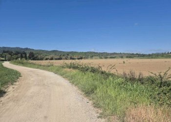 terreno 8.jpeg - Terreno agricolo loc. Badia Vecchia, Castiglione della Pescaia - foto 8