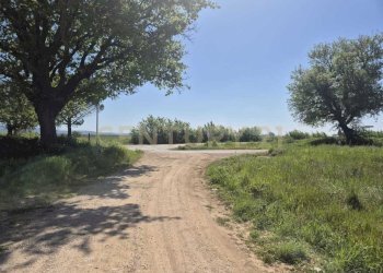 terreno 9.jpeg - Terreno agricolo loc. Badia Vecchia, Castiglione della Pescaia - foto 9