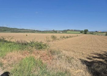terreno 11.jpeg - Terreno agricolo loc. Badia Vecchia, Castiglione della Pescaia - foto 11