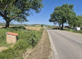 terreno 14.jpeg - Terreno agricolo loc. Badia Vecchia, Castiglione della Pescaia - foto 14