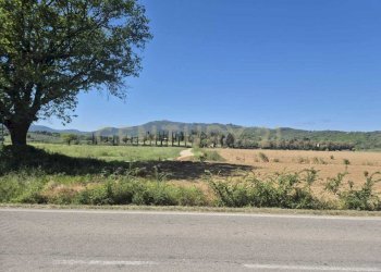 terreno 15.jpeg - Terreno agricolo loc. Badia Vecchia, Castiglione della Pescaia - foto 15