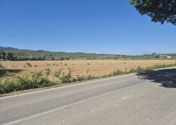 terreno 16.jpeg - Terreno agricolo loc. Badia Vecchia, Castiglione della Pescaia - foto 16