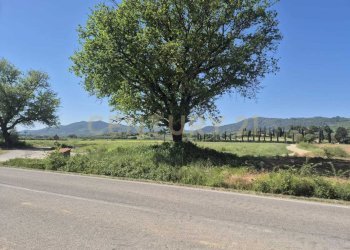 terreno 17.jpeg - Terreno agricolo loc. Badia Vecchia, Castiglione della Pescaia - foto 17