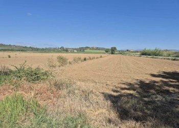 terreno 18.jpeg - Terreno agricolo loc. Badia Vecchia, Castiglione della Pescaia - foto 18