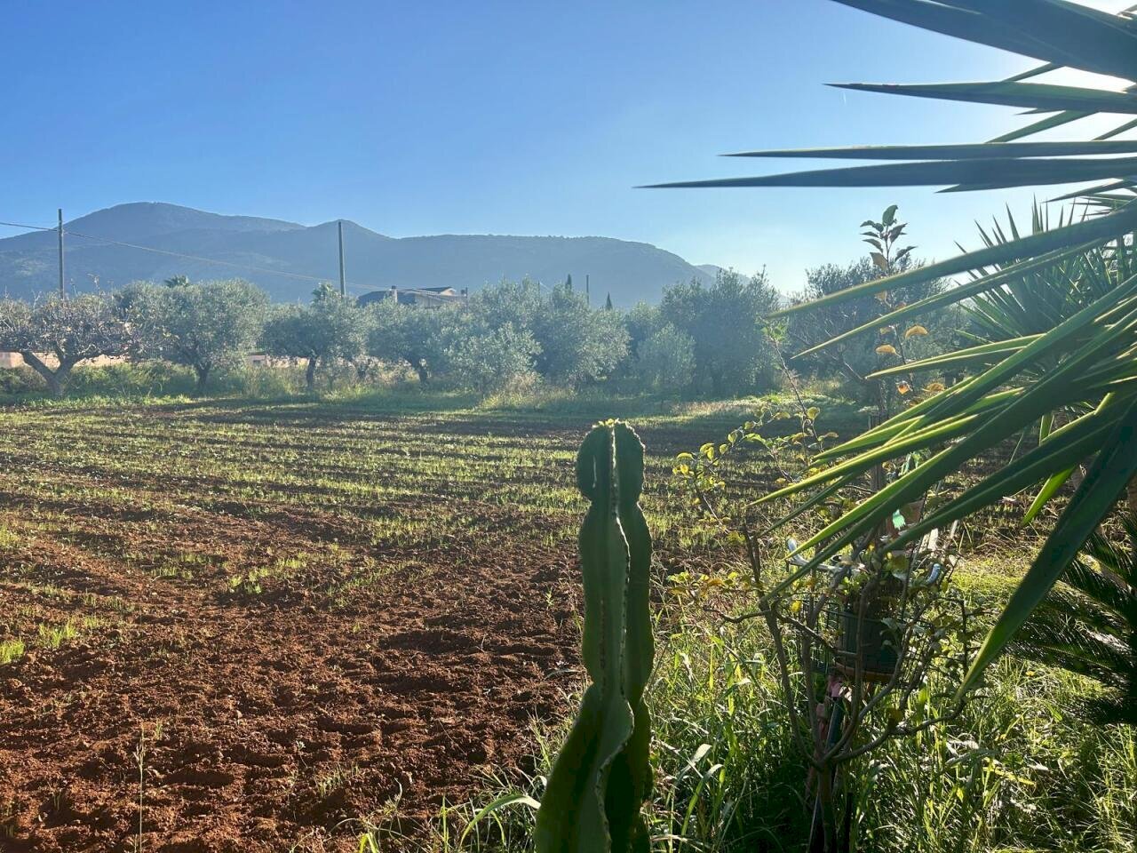 8eb9649a-9097-479b-823d-0bde18abd213.jpg - Agricultural land Terracina - photo 1