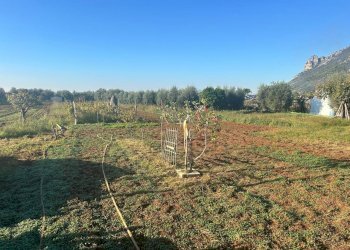 08f0505a-06b8-495f-802b-3b9291b6f1af.jpg - Agricultural land Terracina - photo 2