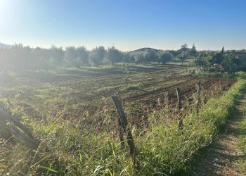 93997093-2972-4625-8f74-9810253974d8.jpg - Agricultural land Terracina - photo 5