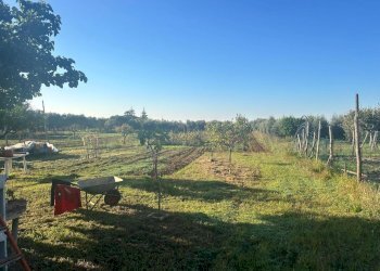 ac37588c-7d1d-41ea-a368-d74a5e3c529e.jpg - Agricultural land Terracina - photo 6