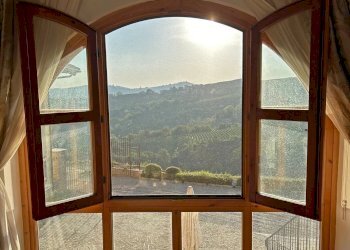 Villa Mango - photo 8