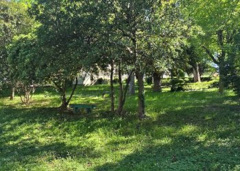 Four-room apartment Via Monte Faito, 61, Pescara - photo 41