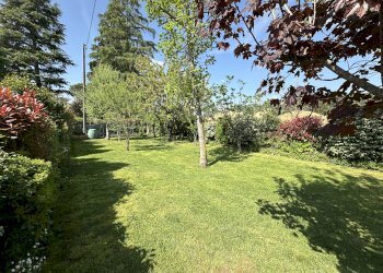 Giardino - Villa Via Andrea Costa, Casalfiumanese - foto 10