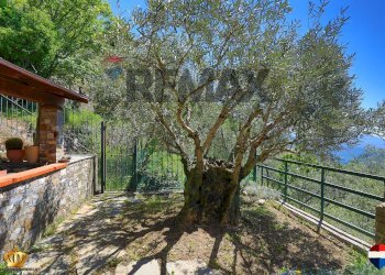 Independent house Passo Campetti, 13 
 Testana, Avegno - photo 14