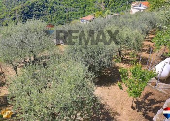 Independent house Passo Campetti, 13 
 Testana, Avegno - photo 36