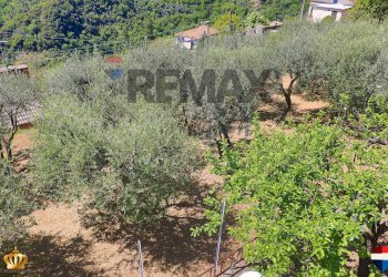 Independent house Passo Campetti, 13 
 Testana, Avegno - photo 37