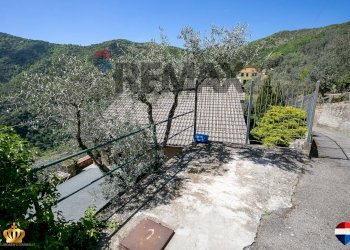 Independent house Passo Campetti, 13 
 Testana, Avegno - photo 109