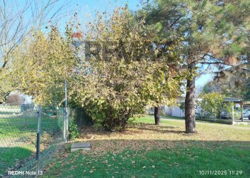 Capannone Via delle Valli, 30 
 Quarantoli, Mirandola - foto 5