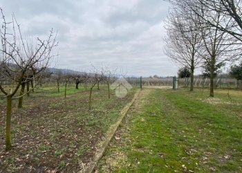 Terreno agricolo via Degli Orti, Imola - foto 7