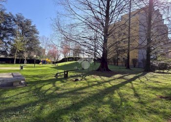 Trilocale Viale Abruzzi, Peschiera Borromeo - foto 18