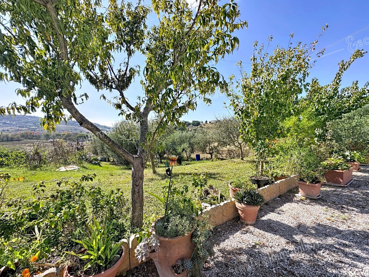 Appartamento Recanati - foto 3